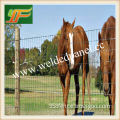 Woven Wire Fence/Goat Sheep Fence/Cattle Field Fence (Direct Factory)